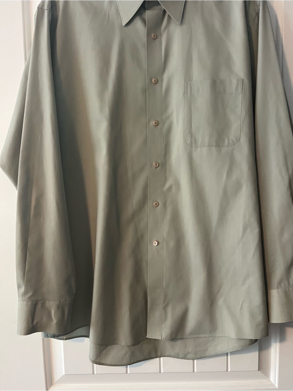 Pierre Cardin Classic Button-Down Shirt in Sage Green